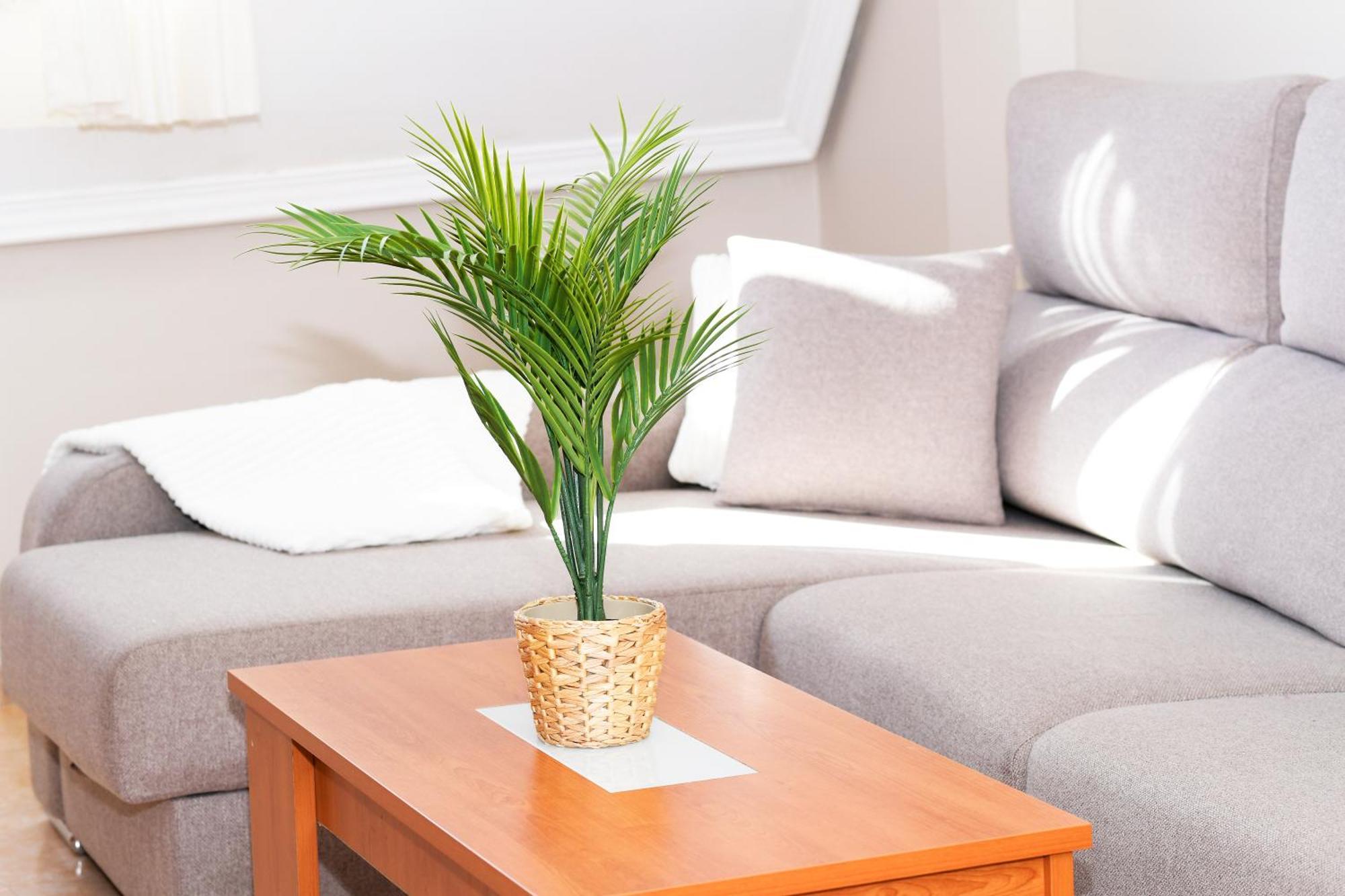 Velayli - Apartamento En El Centro De Finisterre Ngoại thất bức ảnh